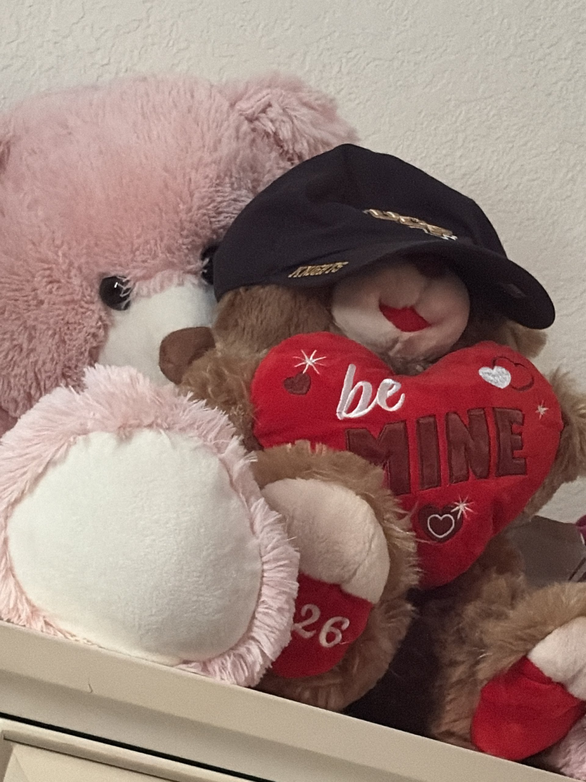 Teddy bear